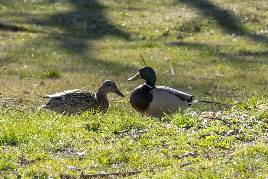 Ivf香港：冷靜看待助孕之路的鼓舞故事